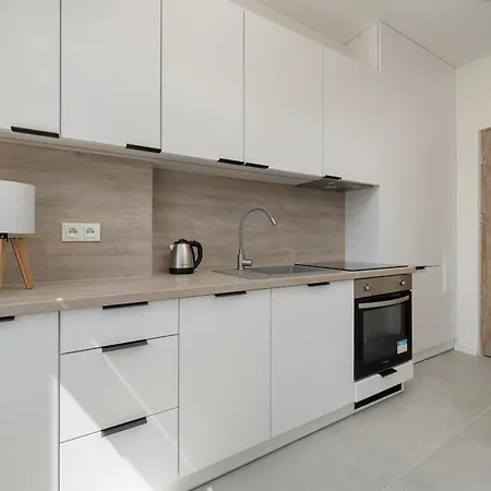 Komfortowe I Przytulne Blisko Parku By Renters Apartament *